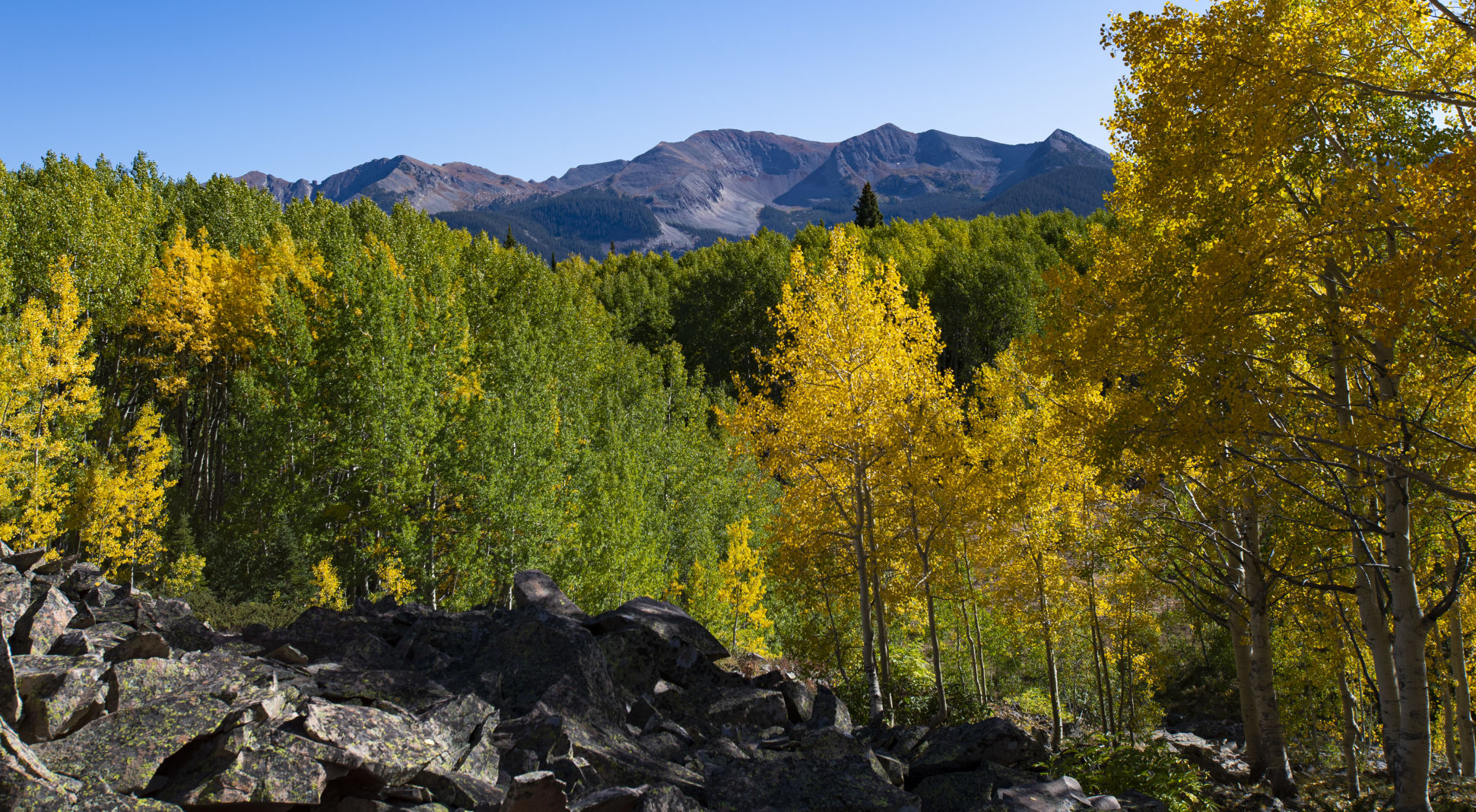 09_24_19 crested butte0385.jpg